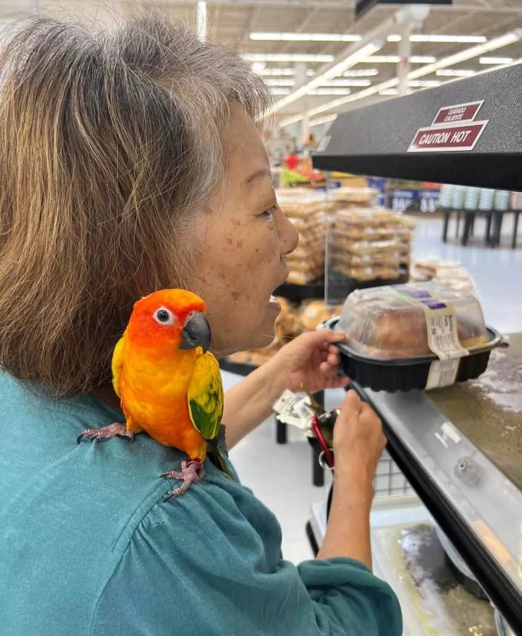 Images choquantes prises dans des walmart - #41 Images choquantes prises dans des walmart - #41