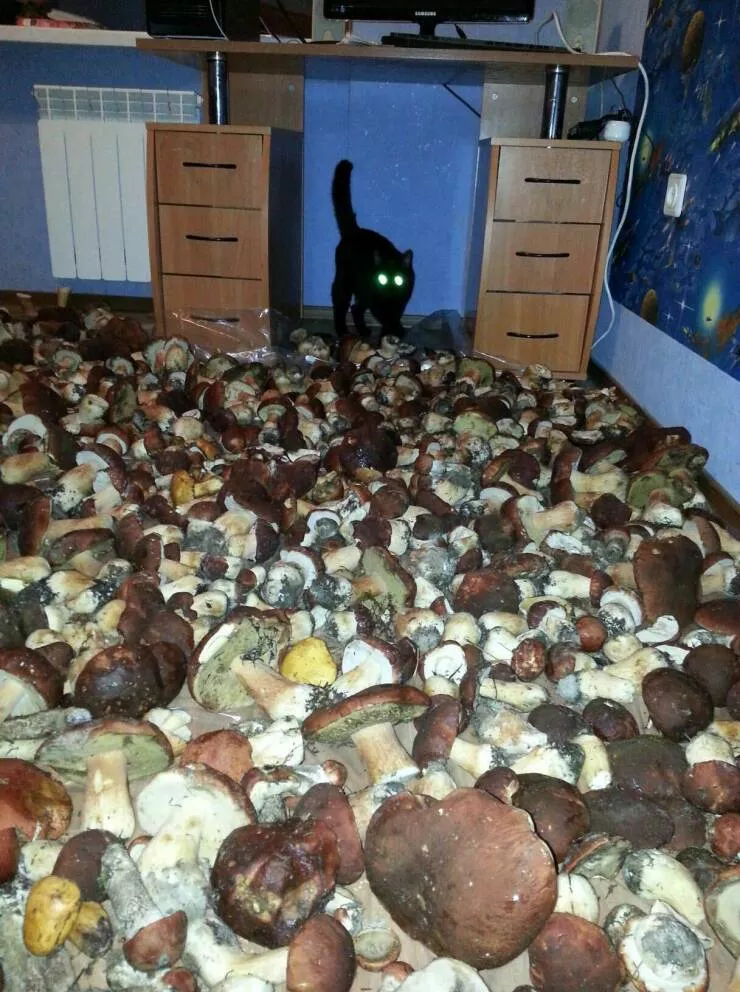 Picdump 694 - #26 