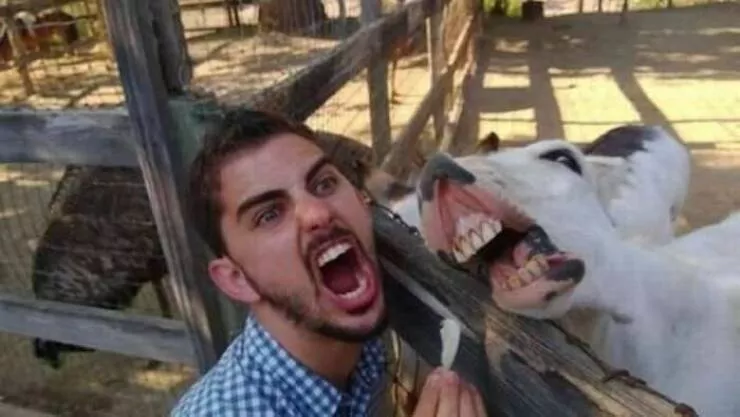 Picdump 694 - #42 