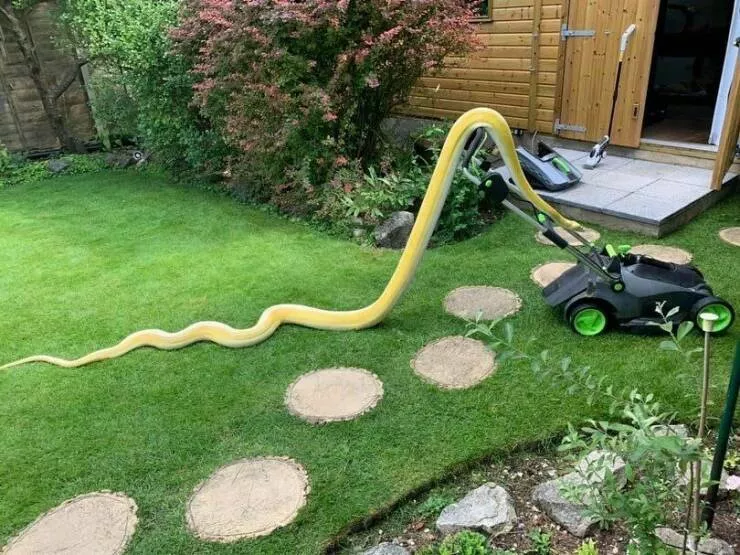 Picdump 694 - #46 