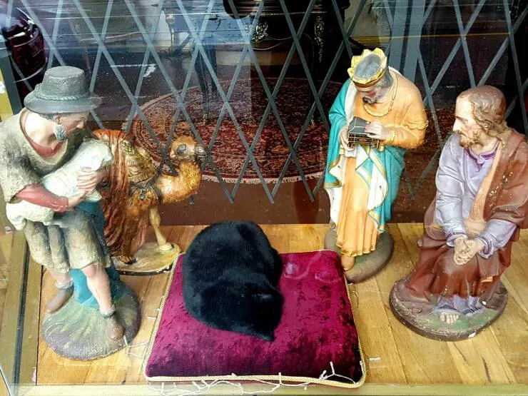 Picdump 694 - #53 