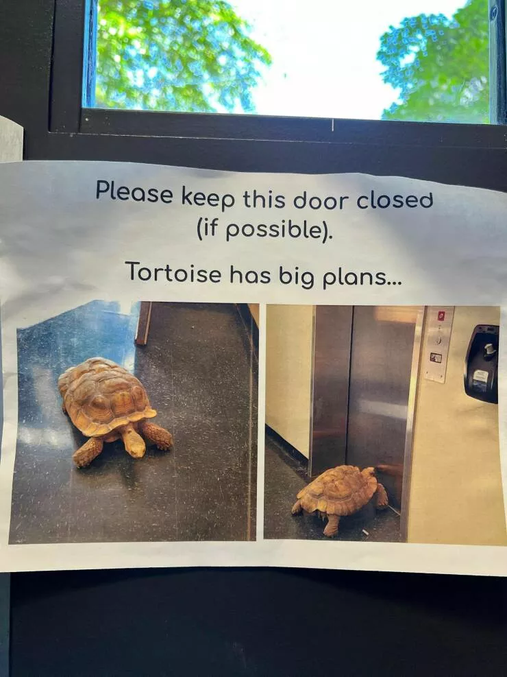 Picdump 694 - #8 