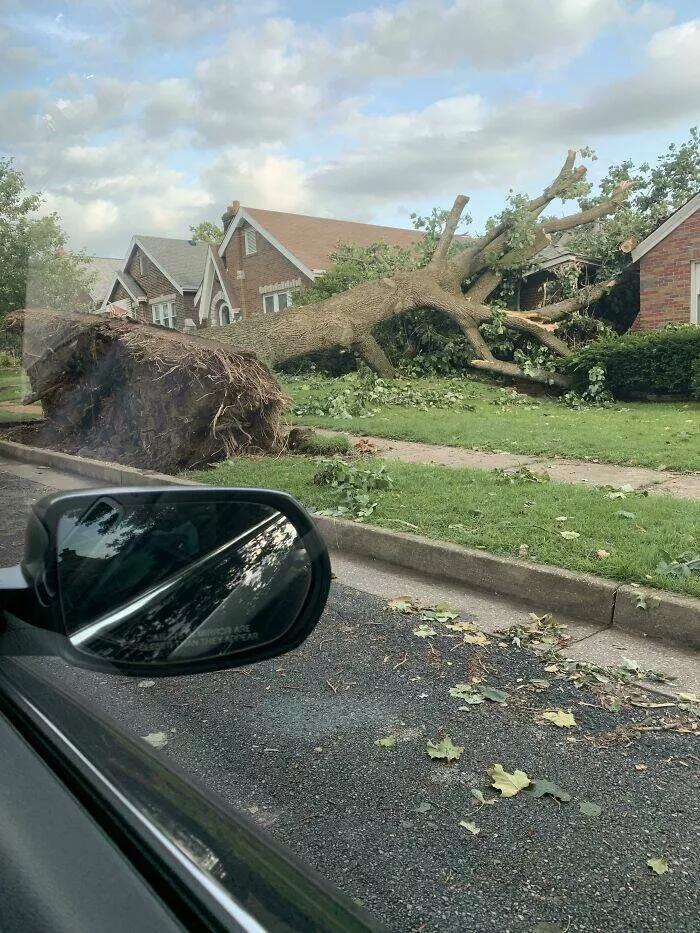 Ces accidents ont coutes cher - #36 