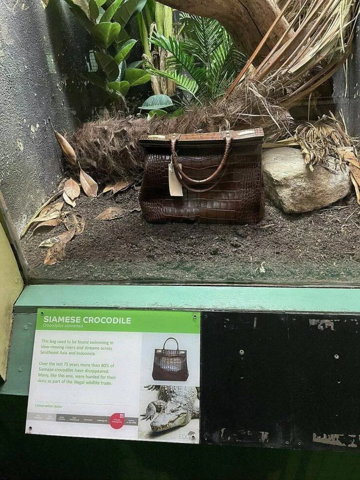 Picdump 695 - #40 