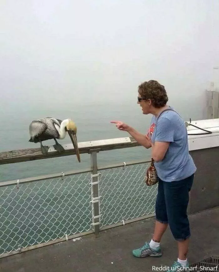 Photos de famille pas bien faites - #2 