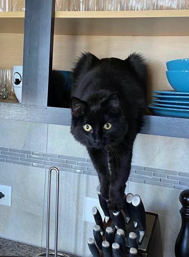 Picdump 697 - #14 