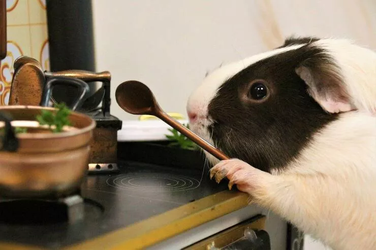 Picdump 697 - #20 