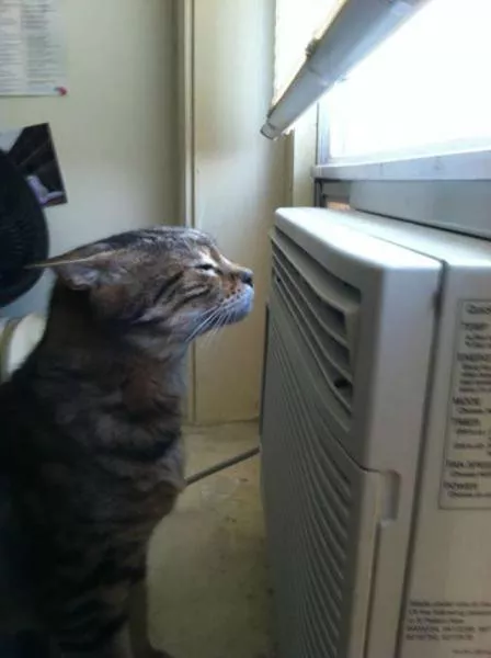 Picdump 101 - #56 