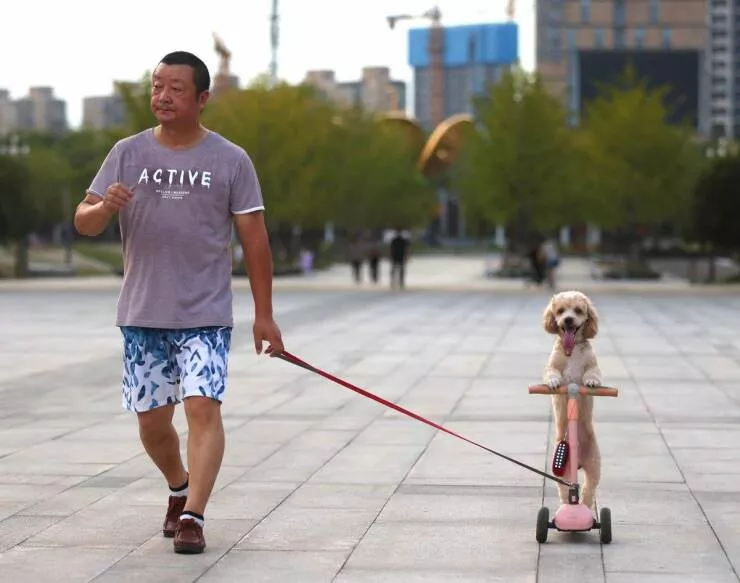 Picdump 698 - #33 