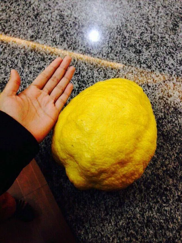 Picdump 699 - #43 