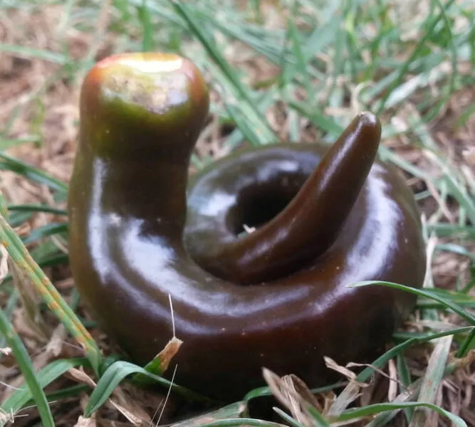 Nature always surprises us - #10 