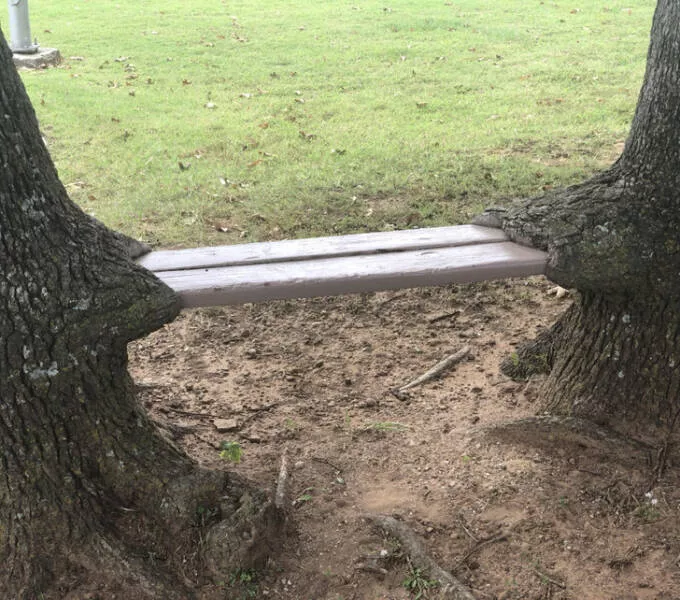 Nature always surprises us - #13 