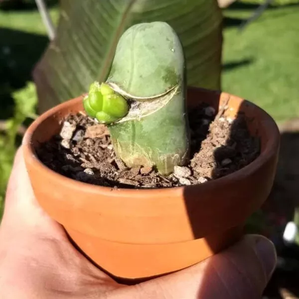 Nature always surprises us - #26 