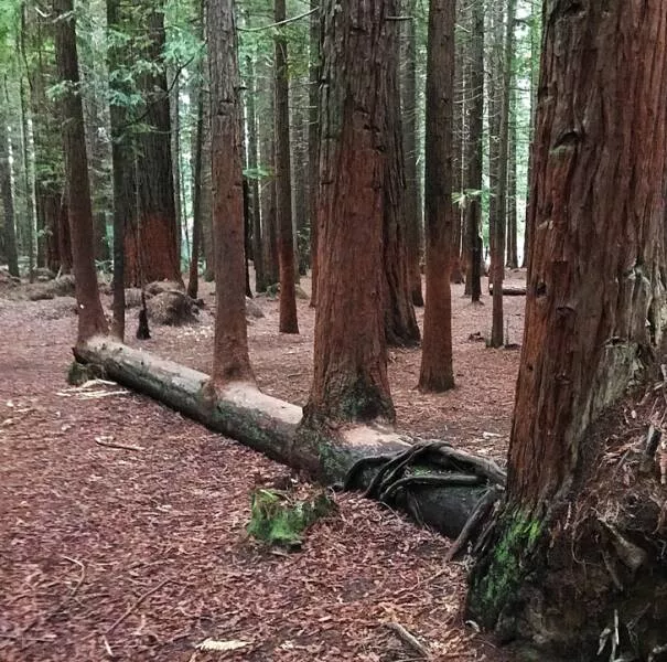 Nature always surprises us - #31 