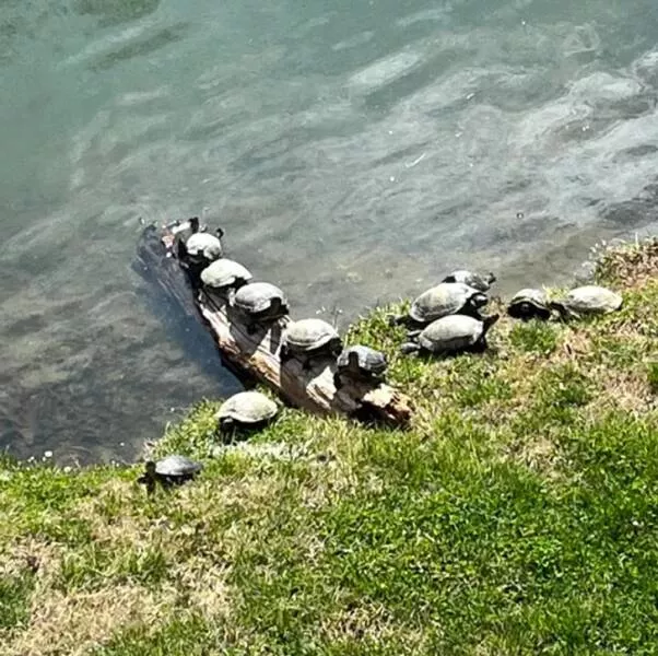 Nature always surprises us - #6 