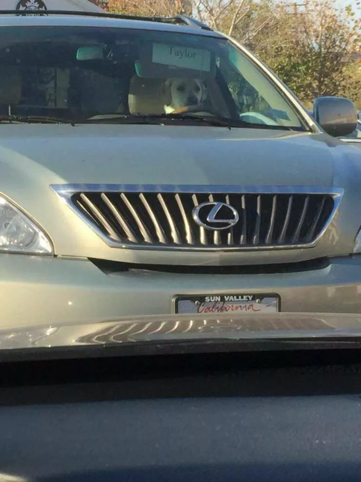 Picdump 701 - #12 