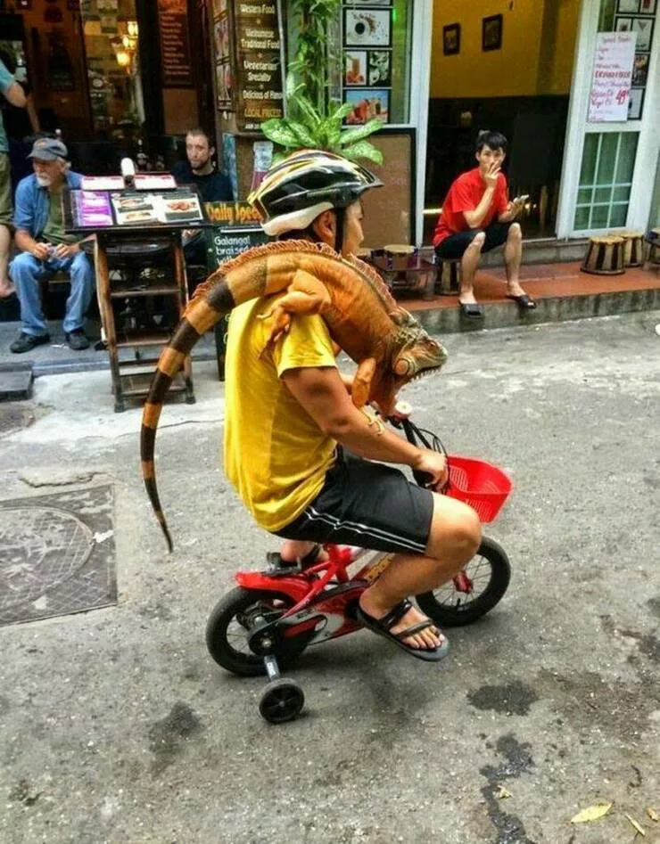 Picdump 701 - #19 