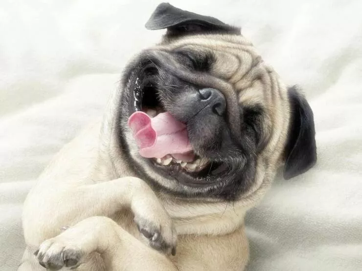 Picdump 701 - #33 