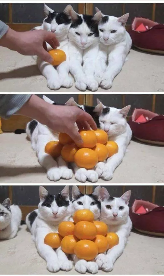 Picdump 701 - #34 