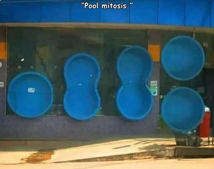 Picdump 702 - #15 