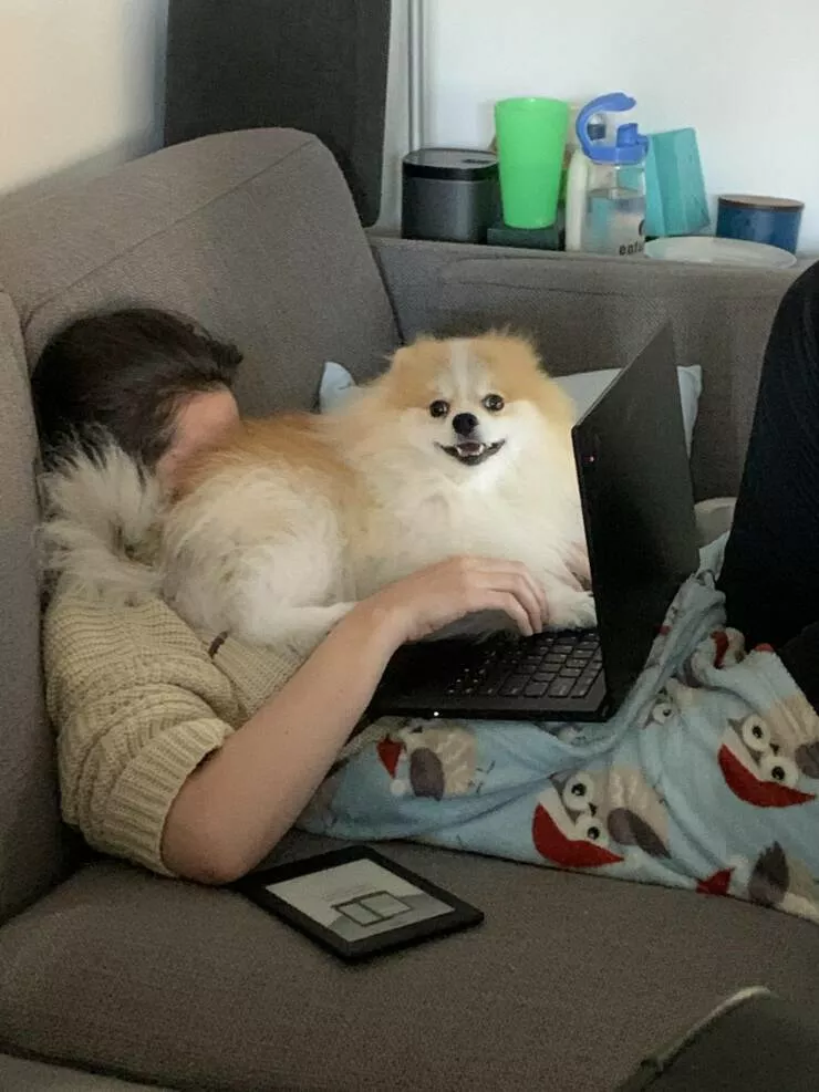 Picdump 702 - #9 