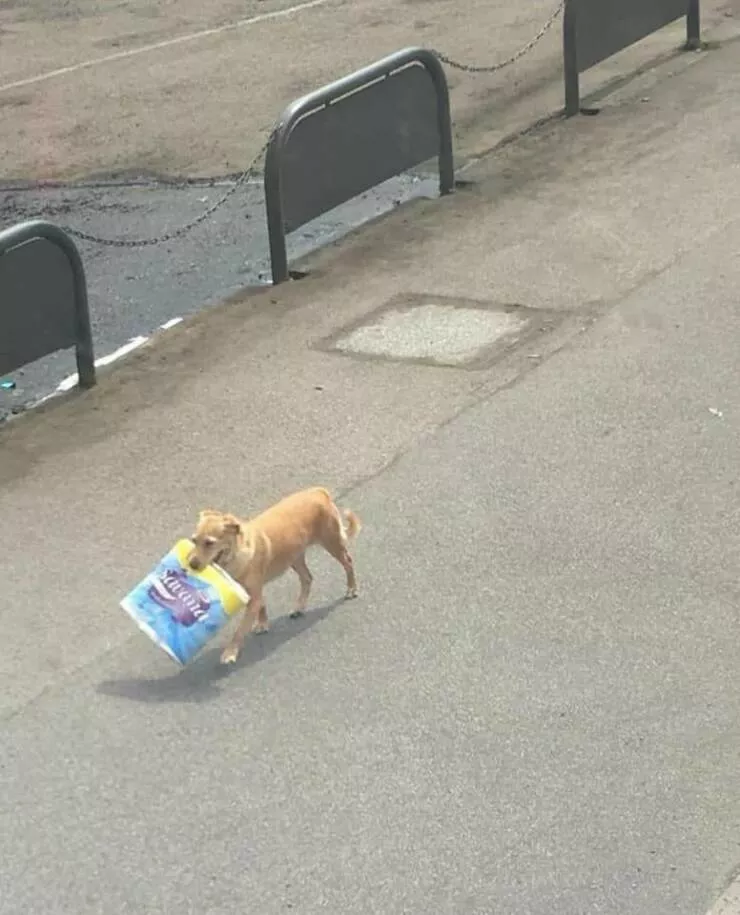Picdump 703 - #22 