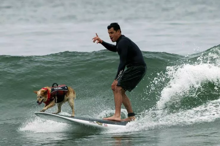 Picdump 703 - #34 