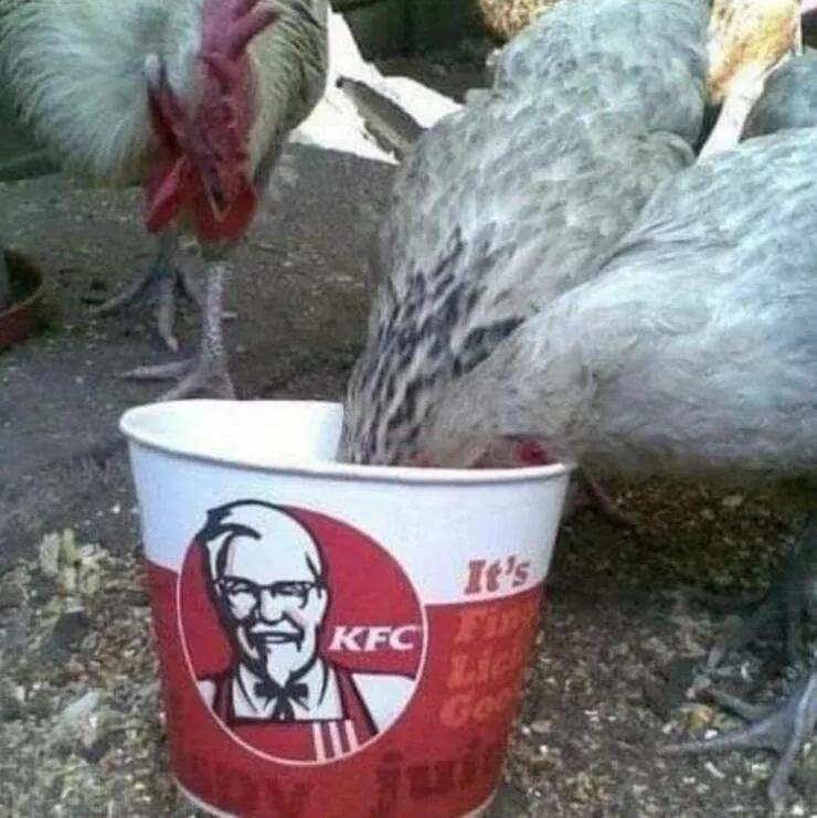 Picdump 703 - #35 