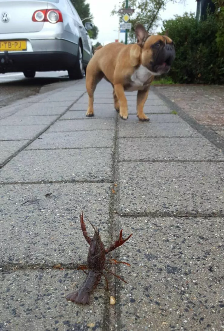 Picdump 704 - #23 