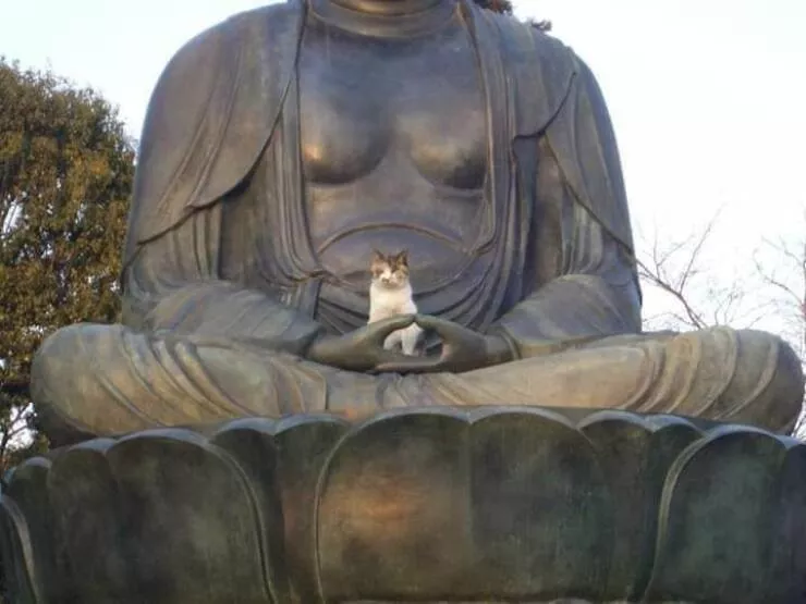 Picdump 704 - #3 