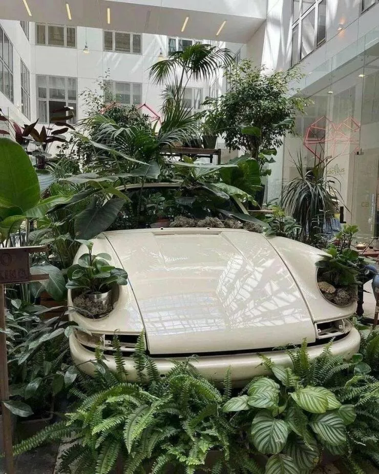 Picdump 704 - #30 