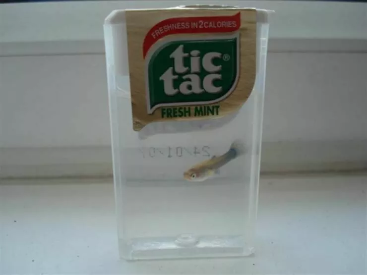 Picdump 704 - #50 
