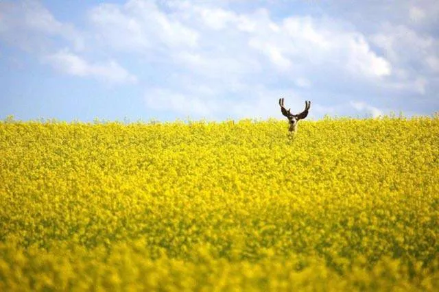 Photos that tell more than a picture - #10 