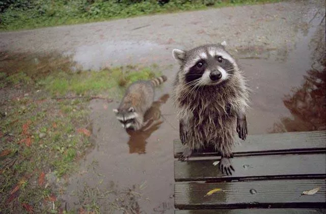 Photos that tell more than a picture - #15 