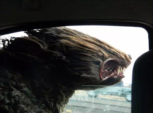 Photos that tell more than a picture - #2 