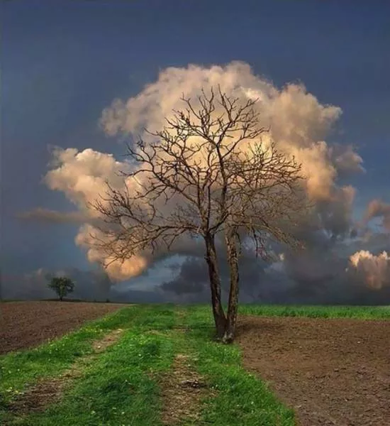 Photos that tell more than a picture - #20 