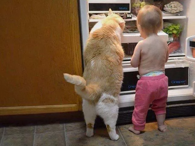 Photos that tell more than a picture - #3 