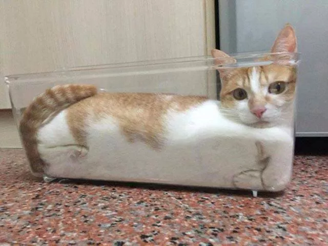 Photos that tell more than a picture - #34 