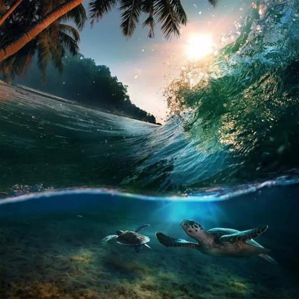 Photos that tell more than a picture - #4 