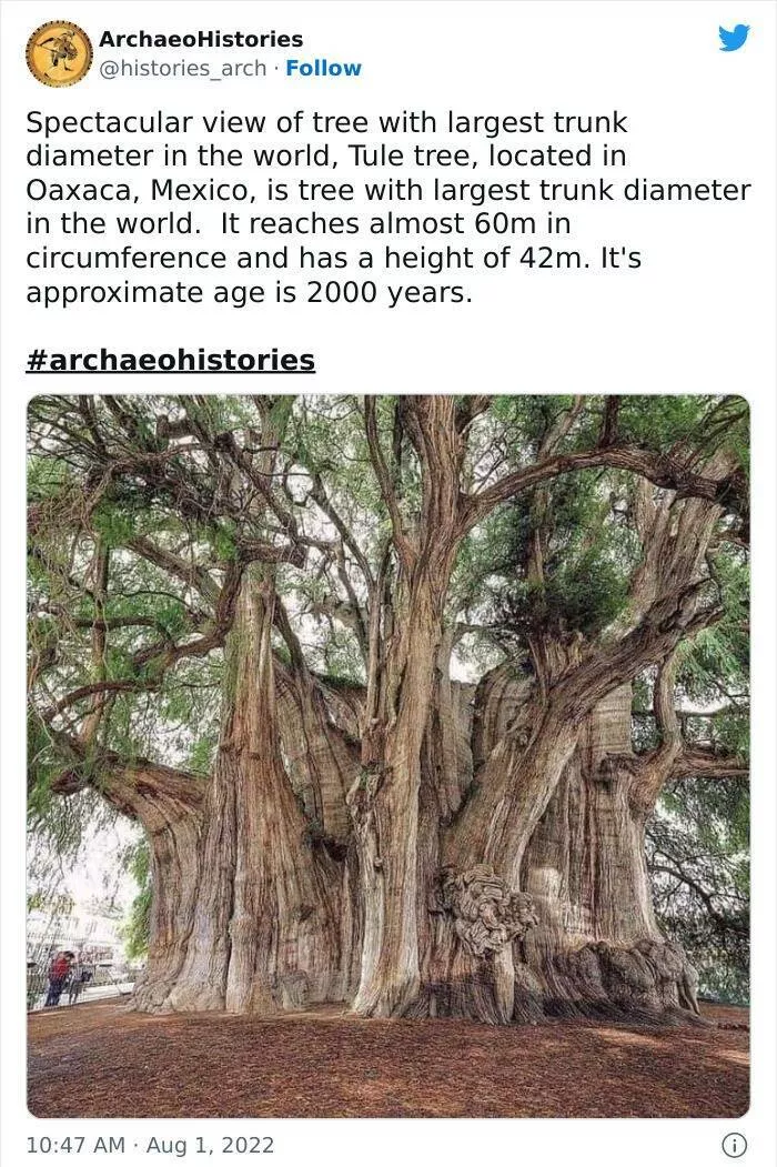 Fascinating archaeological finds - #18 