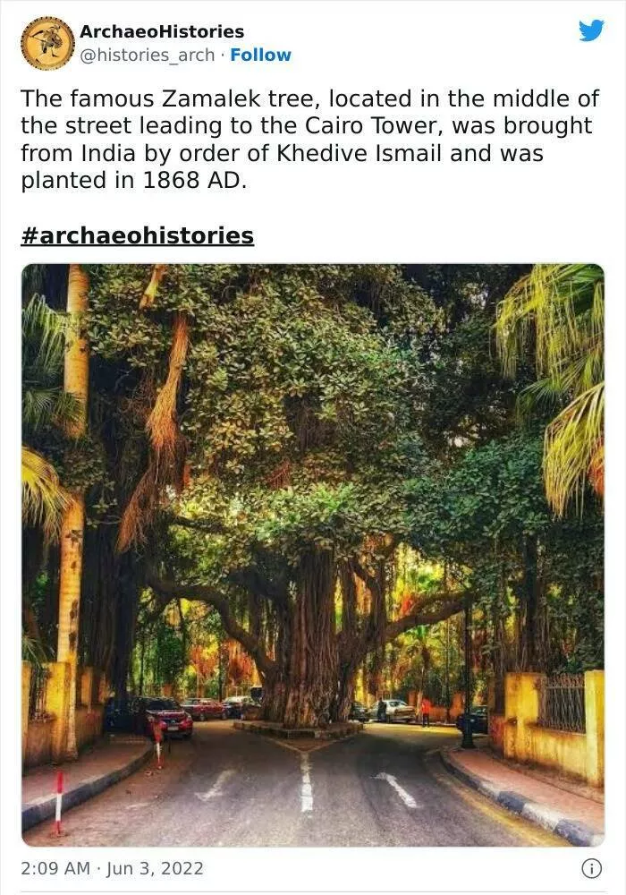 Fascinating archaeological finds - #19 