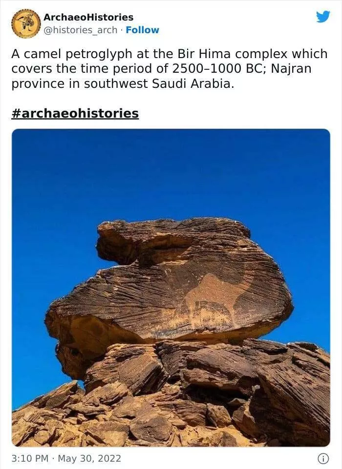 Fascinating archaeological finds