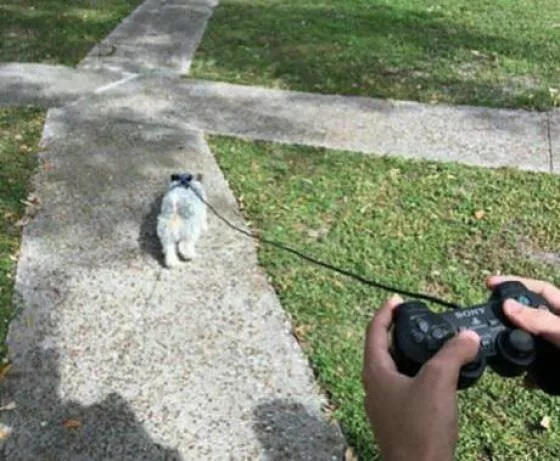 Picdump 706 - #6 