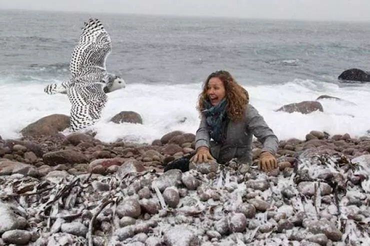 The kings of perfect timing in pictures - #41 