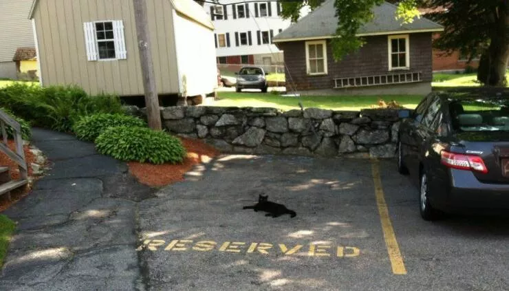 Picdump 707