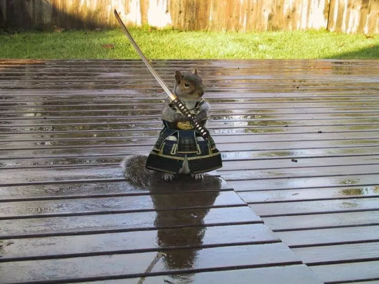 Picdump 707 - #30 Picdump 707 - #30
