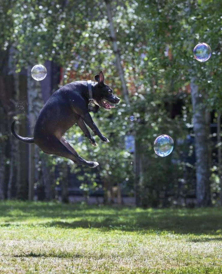 Picdump 708 - #26 