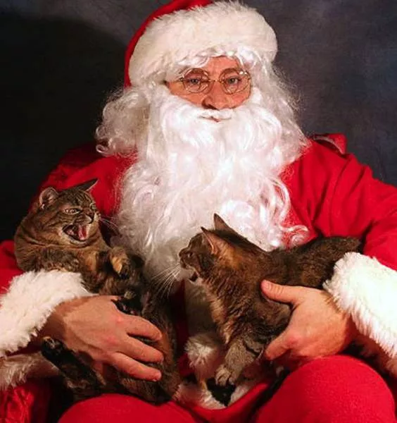 Picdump 102 - #28 