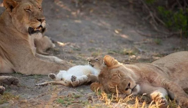 Picdump 102 - #35 