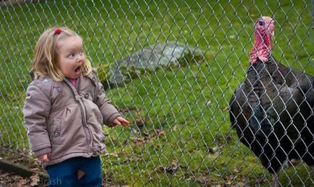Picdump 102 - #66 